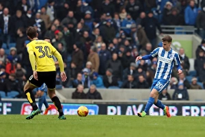 Brighton and Hove Albion vs. Burton Albion: EFL Sky Bet Championship Showdown at American Express Community Stadium (February 11, 2017)