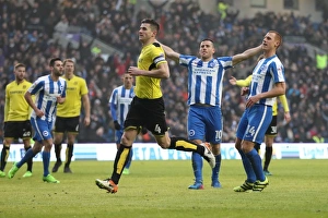 Brighton and Hove Albion vs. Burton Albion: EFL Sky Bet Championship Showdown at American Express Community Stadium (February 11, 2017)