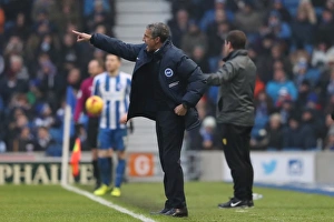 Brighton and Hove Albion vs. Burton Albion: EFL Sky Bet Championship Showdown at American Express Community Stadium (11th February 2017)