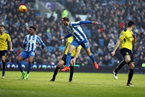 Brighton & Hove Albion vs. Burton Albion: EFL Sky Bet Championship Showdown at American Express Community Stadium (February 11, 2017)