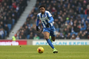 Brighton and Hove Albion vs. Burton Albion: EFL Sky Bet Championship Showdown at American Express Community Stadium (February 11, 2017)