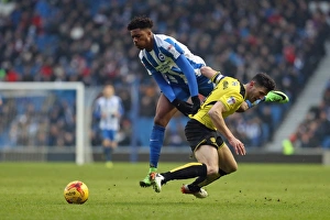 Brighton and Hove Albion vs. Burton Albion: EFL Sky Bet Championship Showdown at American Express Community Stadium (February 11, 2017)