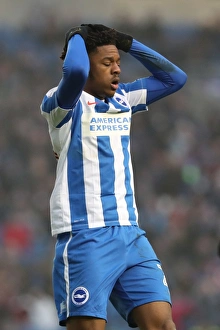 Brighton and Hove Albion vs. Burton Albion: EFL Sky Bet Championship Showdown at American Express Community Stadium (February 11, 2017)