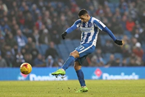 Brighton and Hove Albion vs. Burton Albion: EFL Sky Bet Championship Showdown at American Express Community Stadium (February 11, 2017)