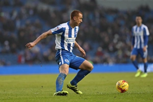 Brighton and Hove Albion vs. Burton Albion: EFL Sky Bet Championship Showdown at American Express Community Stadium (February 11, 2017)