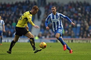 Brighton and Hove Albion vs. Burton Albion: EFL Sky Bet Championship Clash at American Express Community Stadium (February 11, 2017)