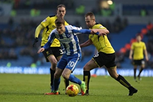Brighton and Hove Albion vs. Burton Albion: EFL Sky Bet Championship Showdown at American Express Community Stadium (February 11, 2017)