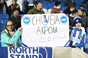 Brighton and Hove Albion vs. Newcastle United: A Tight Championship Showdown at the American Express Community Stadium (28FEB17)
