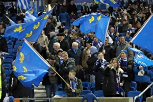 Brighton and Hove Albion vs. Newcastle United: A Tight Championship Showdown at the American Express Community Stadium (28FEB17)