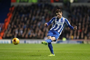 Brighton and Hove Albion vs. Newcastle United: A Tight Championship Showdown at the American Express Community Stadium (28th February 2017)