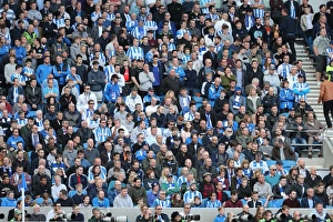 Brighton and Hove Albion vs. Blackburn Rovers: A Fierce EFL Sky Bet Championship Clash at the American Express Community Stadium (01APR17)