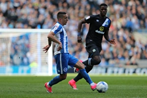 Brighton and Hove Albion vs. Blackburn Rovers: EFL Sky Bet Championship Showdown at American Express Community Stadium (April 1, 2017)