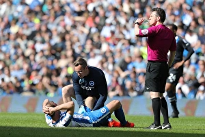 Brighton and Hove Albion vs. Blackburn Rovers: EFL Sky Bet Championship Showdown at American Express Community Stadium (April 1, 2017)