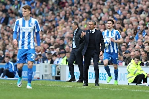 Brighton and Hove Albion vs. Blackburn Rovers: EFL Sky Bet Championship Showdown at American Express Community Stadium (April 1, 2017)
