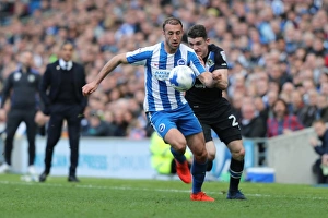 Brighton and Hove Albion vs. Blackburn Rovers: EFL Sky Bet Championship Showdown at American Express Community Stadium (April 1, 2017)