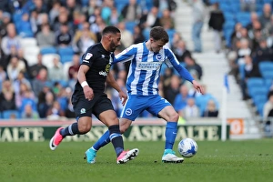 Brighton and Hove Albion vs. Blackburn Rovers: A Fierce EFL Sky Bet Championship Clash at the American Express Community Stadium (01APR17)