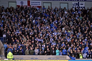 Brighton and Hove Albion vs. Birmingham City: EFL Sky Bet Championship Showdown at American Express Community Stadium (April 4, 2017)