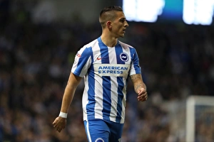 Brighton and Hove Albion vs. Birmingham City: EFL Sky Bet Championship Showdown at American Express Community Stadium (April 4, 2017)