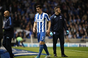Brighton and Hove Albion vs. Birmingham City: EFL Sky Bet Championship Showdown at American Express Community Stadium (April 4, 2017)