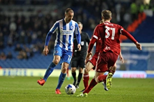 Brighton and Hove Albion vs. Birmingham City: EFL Sky Bet Championship Showdown at American Express Community Stadium (04APR17)