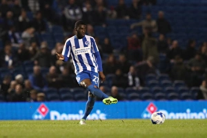 Brighton and Hove Albion vs. Birmingham City: EFL Sky Bet Championship Showdown at American Express Community Stadium (April 4, 2017)