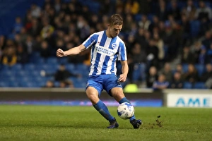 Brighton and Hove Albion vs. Birmingham City: EFL Sky Bet Championship Showdown at American Express Community Stadium (April 4, 2017)