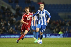 Brighton and Hove Albion vs. Birmingham City: EFL Sky Bet Championship Showdown at American Express Community Stadium (April 4, 2017)