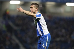 Brighton and Hove Albion vs. Birmingham City: EFL Sky Bet Championship Showdown at American Express Community Stadium (April 4, 2017)