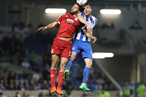 Brighton and Hove Albion vs. Birmingham City: EFL Sky Bet Championship Showdown at American Express Community Stadium (April 4, 2017)