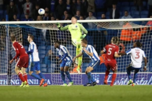 Brighton and Hove Albion vs. Birmingham City: EFL Sky Bet Championship Showdown at American Express Community Stadium (April 4, 2017)
