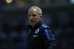Brighton and Hove Albion vs. Birmingham City: EFL Sky Bet Championship Showdown at American Express Community Stadium (April 4, 2017)