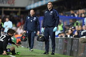 Brighton and Hove Albion vs. Queens Park Rangers: EFL Sky Bet Championship Clash at Loftus Road Stadium (07APR17) - Intense Action