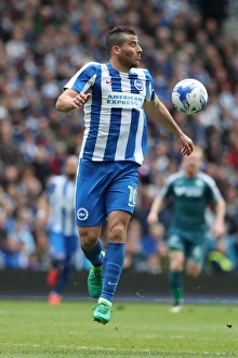 Brighton and Hove Albion vs. Wigan Athletic: A Fierce EFL Sky Bet Championship Clash at American Express Community Stadium (17APR17)