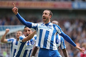 Brighton and Hove Albion vs. Wigan Athletic: A Fierce EFL Sky Bet Championship Clash at the American Express Community Stadium (17APR17)