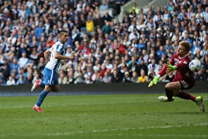 Brighton and Hove Albion vs. Wigan Athletic: A Fierce EFL Sky Bet Championship Clash at the American Express Community Stadium (17APR17)