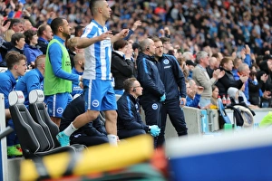 Brighton and Hove Albion vs. Wigan Athletic: A Tight Championship Clash at the American Express Community Stadium (17 April 2017)