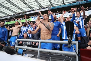 Brighton and Hove Albion vs. Wigan Athletic: A Fierce EFL Sky Bet Championship Clash at the American Express Community Stadium (17APR17)
