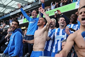 Brighton and Hove Albion vs. Wigan Athletic: A Tight Championship Battle at the American Express Community Stadium (17th April 2017)