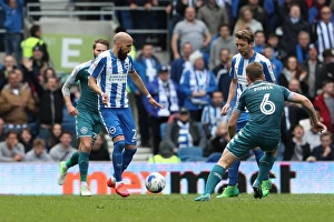 Brighton and Hove Albion vs. Wigan Athletic: A Championship Showdown at the American Express Community Stadium (17APR17)