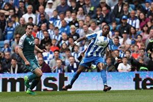 Brighton and Hove Albion vs. Wigan Athletic: A Tight Championship Clash at the American Express Community Stadium (17th April 2017)