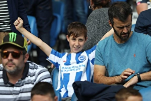 Brighton and Hove Albion vs. West Bromwich Albion: Premier League Showdown at American Express Community Stadium (September 9, 2017)