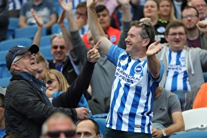 Brighton and Hove Albion vs. West Bromwich Albion: Premier League Showdown at American Express Community Stadium (September 9, 2017)
