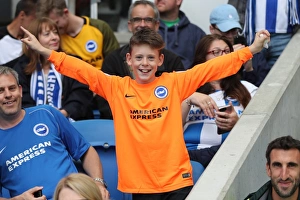 Brighton and Hove Albion vs. West Bromwich Albion: Premier League Showdown at American Express Community Stadium (September 9, 2017)