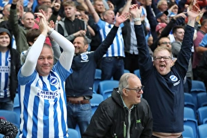 Brighton and Hove Albion vs. West Bromwich Albion: Premier League Showdown at American Express Community Stadium (September 9, 2017)