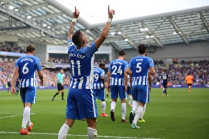 Brighton and Hove Albion vs. Everton: Premier League Showdown at American Express Community Stadium (15OCT17)