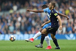 Brighton and Hove Albion vs. Everton: Premier League Showdown at American Express Community Stadium (15OCT17)