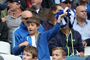 Brighton and Hove Albion vs. Everton: Premier League Showdown at American Express Community Stadium (15OCT17)