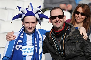 Brighton and Hove Albion vs. Southampton: A Premier League Showdown at American Express Community Stadium (29OCT17)
