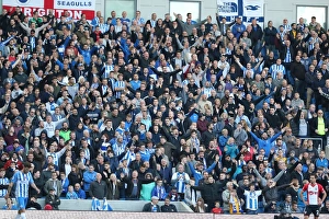 Brighton and Hove Albion vs. Southampton: A Premier League Battle at the American Express Community Stadium (29OCT17)