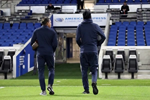 Brighton and Hove Albion vs. Crystal Palace: A Premier League Showdown at American Express Community Stadium (Nov. 2017)